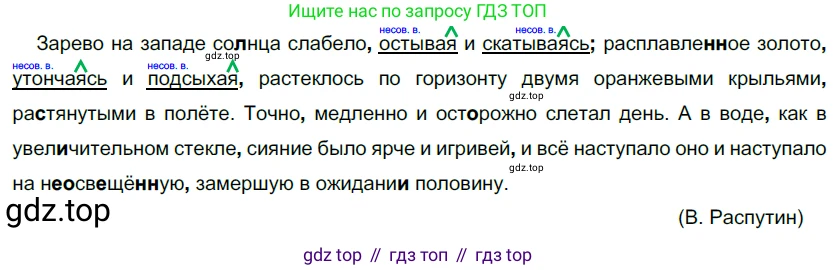 Русский язык, 10-11 класс Учебник, авторы: Гольцова Нина Григорьевна, Шамшин Игорь Викторович, Мищерина Марина Алексеевна, издательство Русское слово, Москва, 2022, белого цвета, Часть 1, страница 282, номер 303, Решение 5