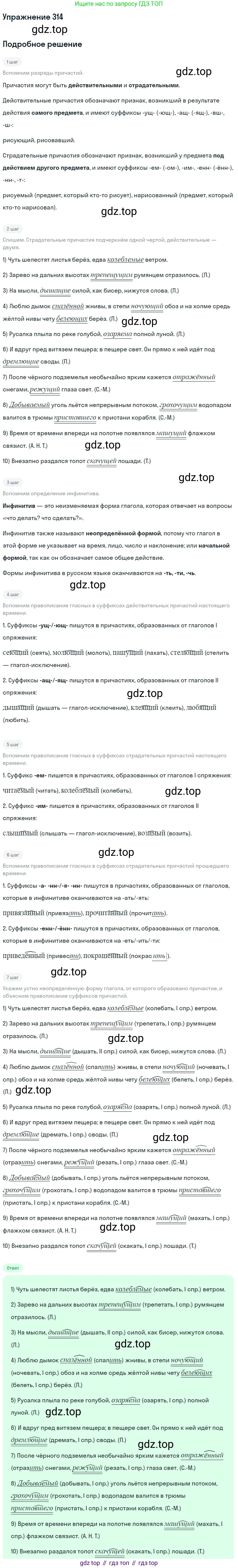 Русский язык, 10-11 класс Учебник, авторы: Греков Василий Фёдорович, Крючков Сергей Ефимович, Чешко Лев Антонович, Николина Наталия Анатольевна, Богданова Галина Александровна, издательство Просвещение, Москва, 2015, бежевого цвета, страница 198, номер 314, Решение 1