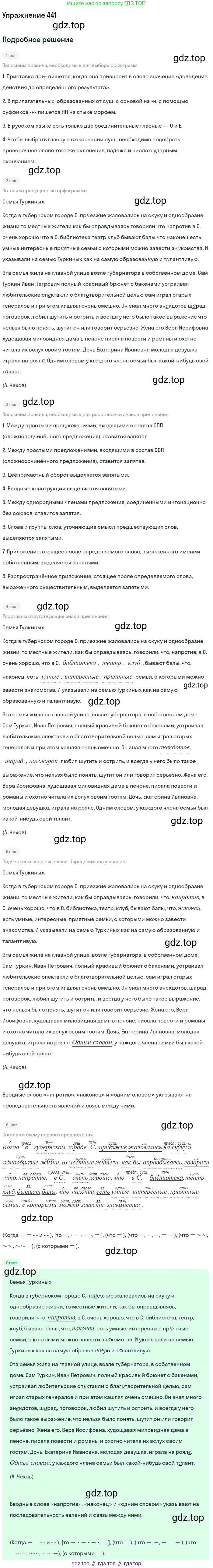 Русский язык, 10-11 класс Учебник, авторы: Греков Василий Фёдорович, Крючков Сергей Ефимович, Чешко Лев Антонович, Николина Наталия Анатольевна, Богданова Галина Александровна, издательство Просвещение, Москва, 2015, бежевого цвета, страница 300, номер 441, Решение 1
