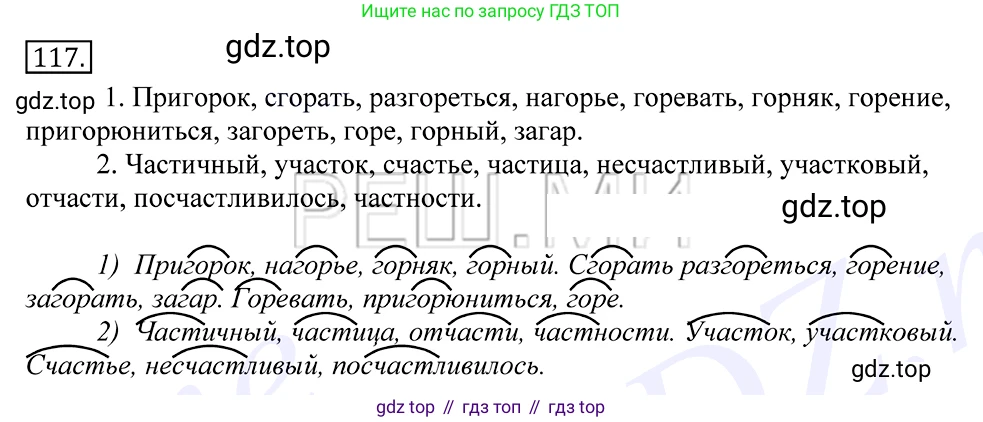 Русский язык, 10-11 класс Учебник, авторы: Греков Василий Фёдорович, Крючков Сергей Ефимович, Чешко Лев Антонович, Николина Наталия Анатольевна, Богданова Галина Александровна, издательство Просвещение, Москва, 2015, бежевого цвета, страница 91, номер 117, Решение 2