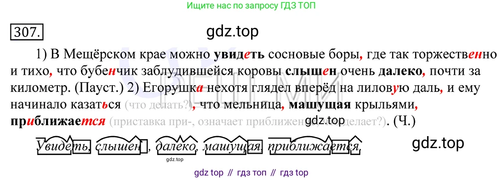 Русский язык, 10-11 класс Учебник, авторы: Греков Василий Фёдорович, Крючков Сергей Ефимович, Чешко Лев Антонович, Николина Наталия Анатольевна, Богданова Галина Александровна, издательство Просвещение, Москва, 2015, бежевого цвета, страница 195, номер 307, Решение 2