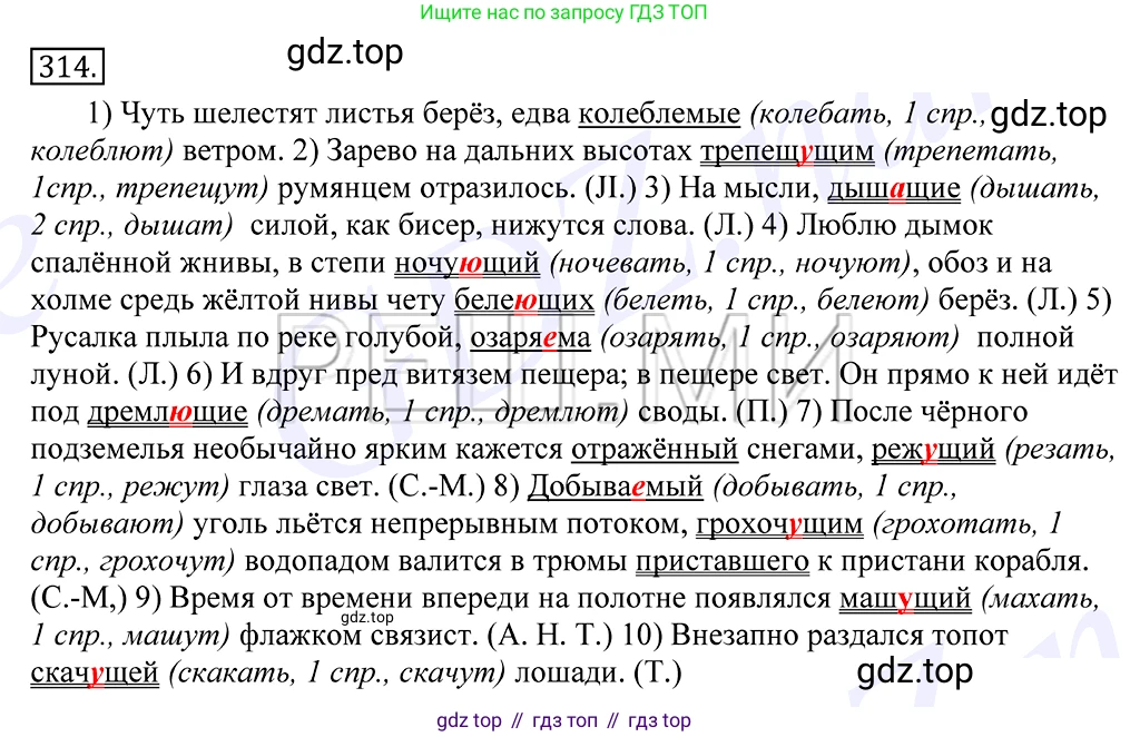 Русский язык, 10-11 класс Учебник, авторы: Греков Василий Фёдорович, Крючков Сергей Ефимович, Чешко Лев Антонович, Николина Наталия Анатольевна, Богданова Галина Александровна, издательство Просвещение, Москва, 2015, бежевого цвета, страница 198, номер 314, Решение 2