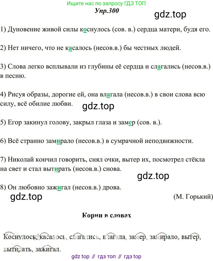 Русский язык, 10-11 класс Учебник, авторы: Греков Василий Фёдорович, Крючков Сергей Ефимович, Чешко Лев Антонович, Николина Наталия Анатольевна, Богданова Галина Александровна, издательство Просвещение, Москва, 2015, бежевого цвета, страница 190, номер 300, Решение 3