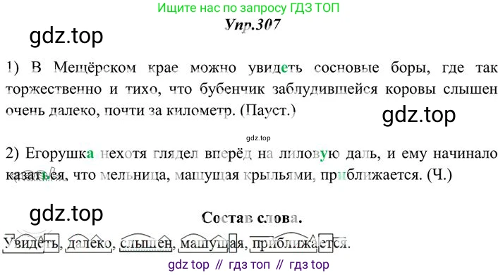 Русский язык, 10-11 класс Учебник, авторы: Греков Василий Фёдорович, Крючков Сергей Ефимович, Чешко Лев Антонович, Николина Наталия Анатольевна, Богданова Галина Александровна, издательство Просвещение, Москва, 2015, бежевого цвета, страница 195, номер 307, Решение 3
