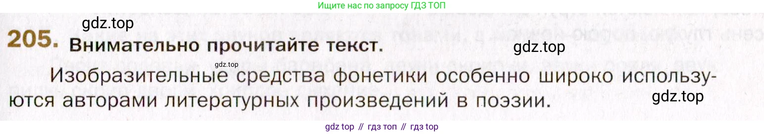 Русский язык, 10 класс Учебник, автор: Гусарова Ирина Васильевна, издательство Просвещение, Москва, 2021, коричневого цвета, Часть 5, страница 317, номер 205, Условие