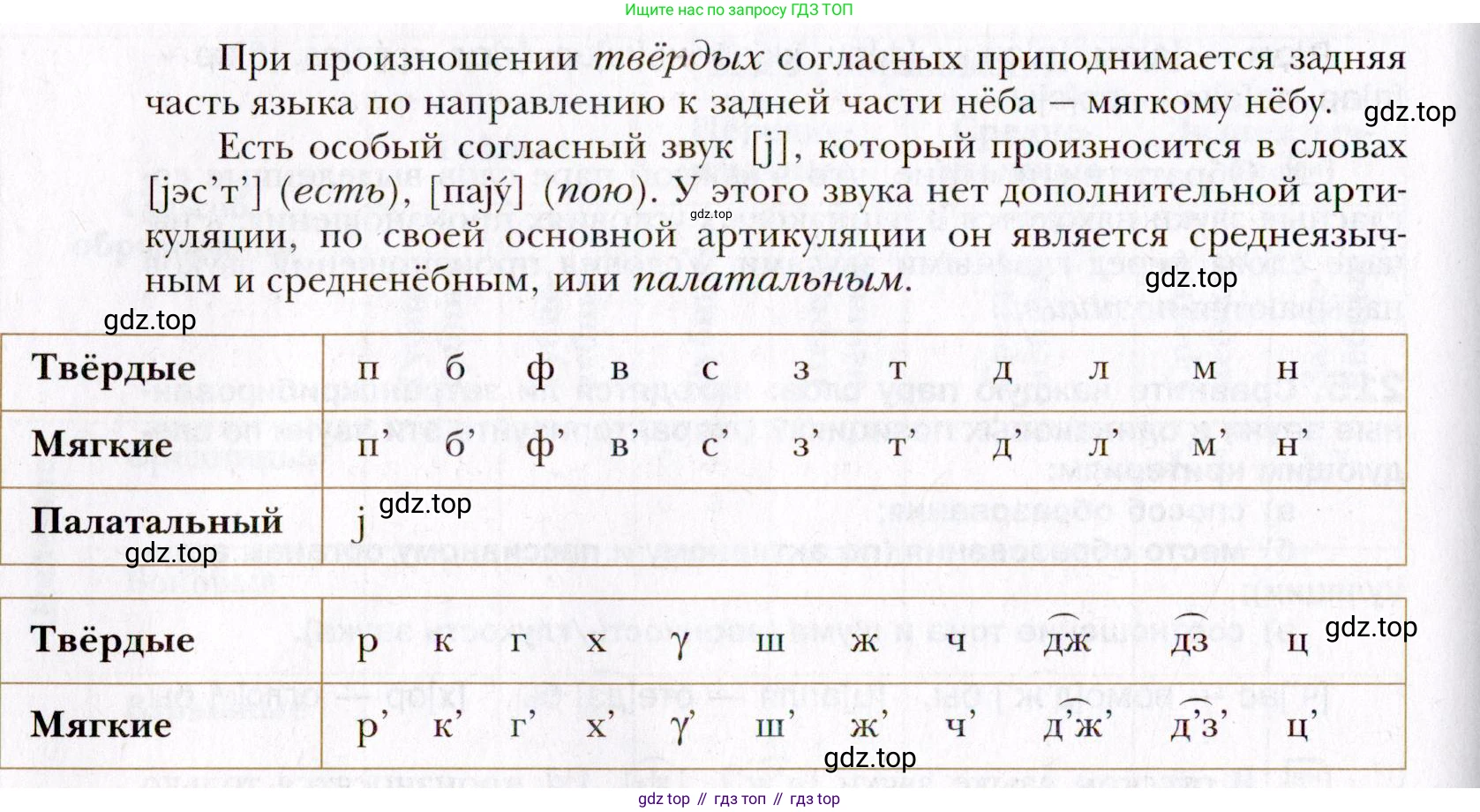 Русский язык, 10 класс Учебник, автор: Гусарова Ирина Васильевна, издательство Просвещение, Москва, 2021, коричневого цвета, Часть 5, страница 325, номер 217, Условие (продолжение 2)