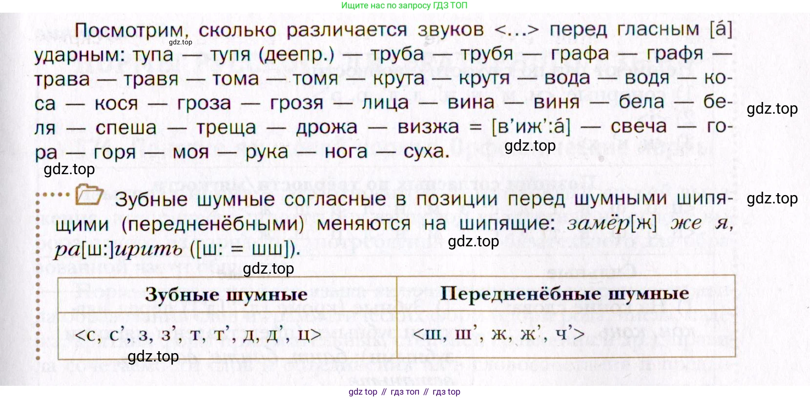 Русский язык, 10 класс Учебник, автор: Гусарова Ирина Васильевна, издательство Просвещение, Москва, 2021, коричневого цвета, Часть 5, страница 336, номер 238, Условие (продолжение 2)
