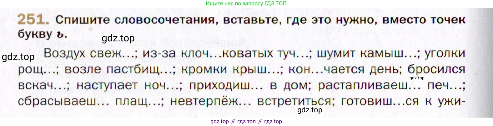 Русский язык, 10 класс Учебник, автор: Гусарова Ирина Васильевна, издательство Просвещение, Москва, 2021, коричневого цвета, Часть 5, страница 352, номер 251, Условие