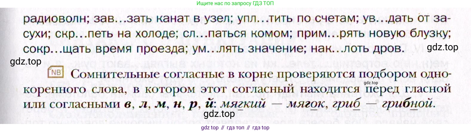 Русский язык, 10 класс Учебник, автор: Гусарова Ирина Васильевна, издательство Просвещение, Москва, 2021, коричневого цвета, Часть 5, страница 356, номер 255, Условие (продолжение 2)