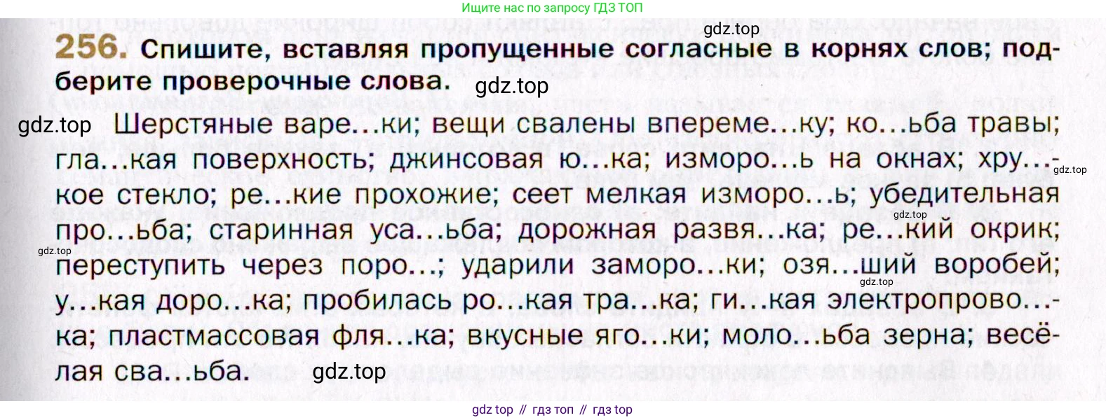 Русский язык, 10 класс Учебник, автор: Гусарова Ирина Васильевна, издательство Просвещение, Москва, 2021, коричневого цвета, Часть 5, страница 357, номер 256, Условие