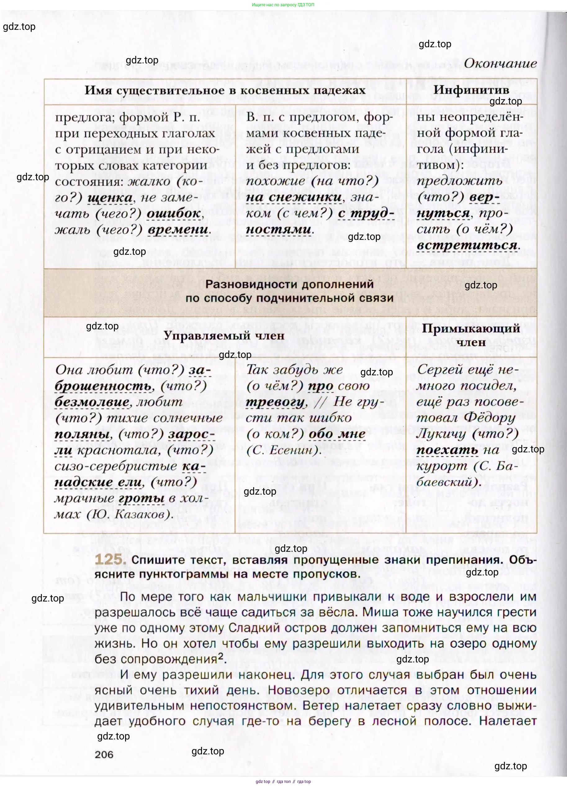 Русский язык, 10 класс Учебник, автор: Гусарова Ирина Васильевна, издательство Просвещение, Москва, 2021, коричневого цвета, Часть 3, страница 206