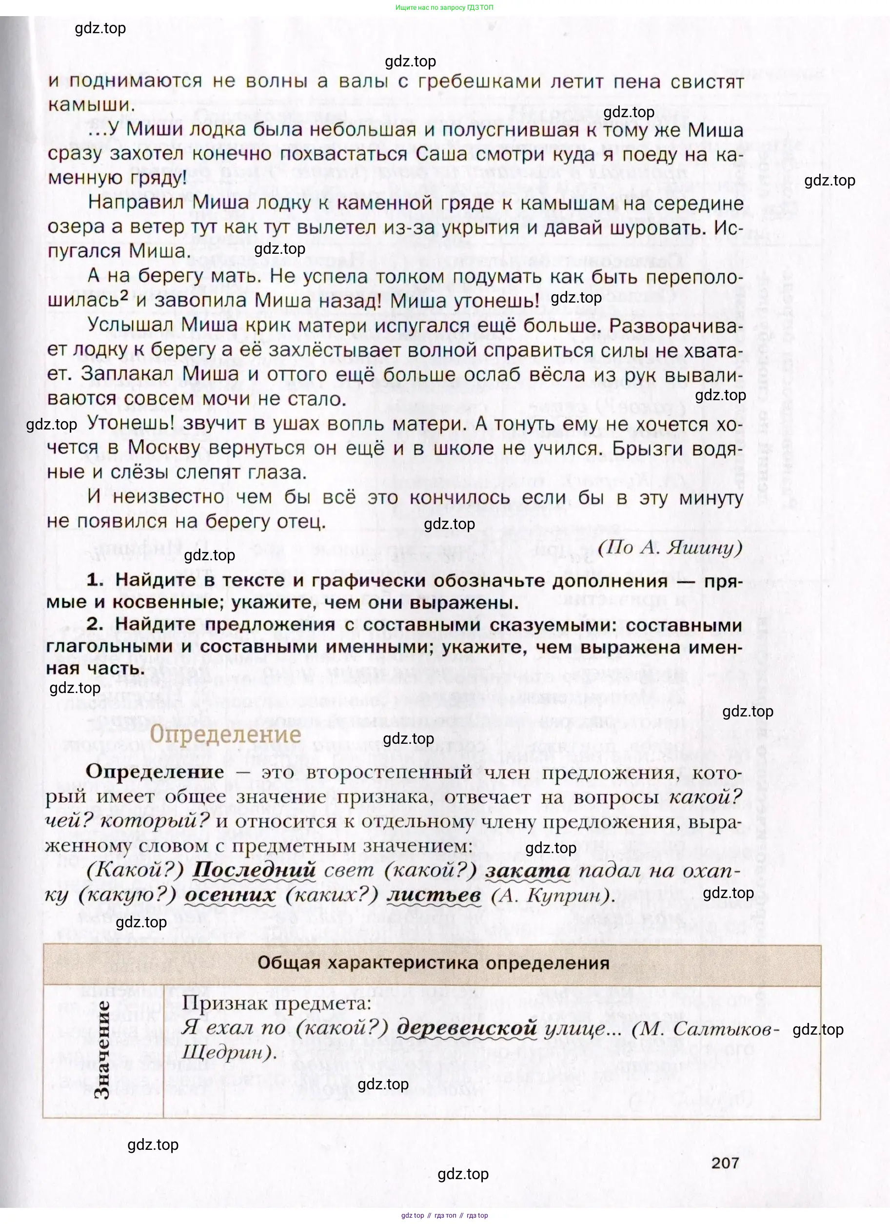 Русский язык, 10 класс Учебник, автор: Гусарова Ирина Васильевна, издательство Просвещение, Москва, 2021, коричневого цвета, страница 207