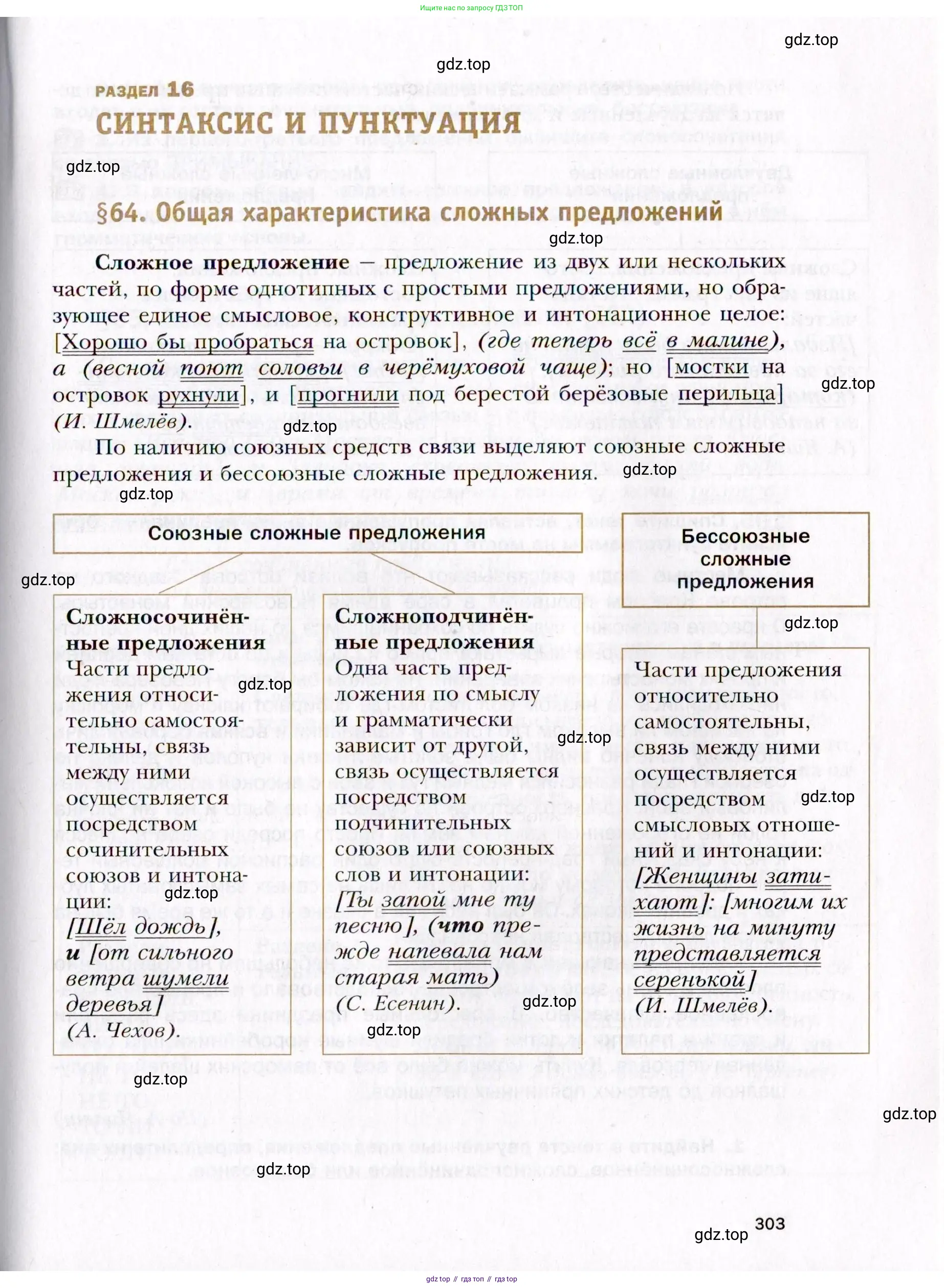 Русский язык, 10 класс Учебник, автор: Гусарова Ирина Васильевна, издательство Просвещение, Москва, 2021, коричневого цвета, страница 303
