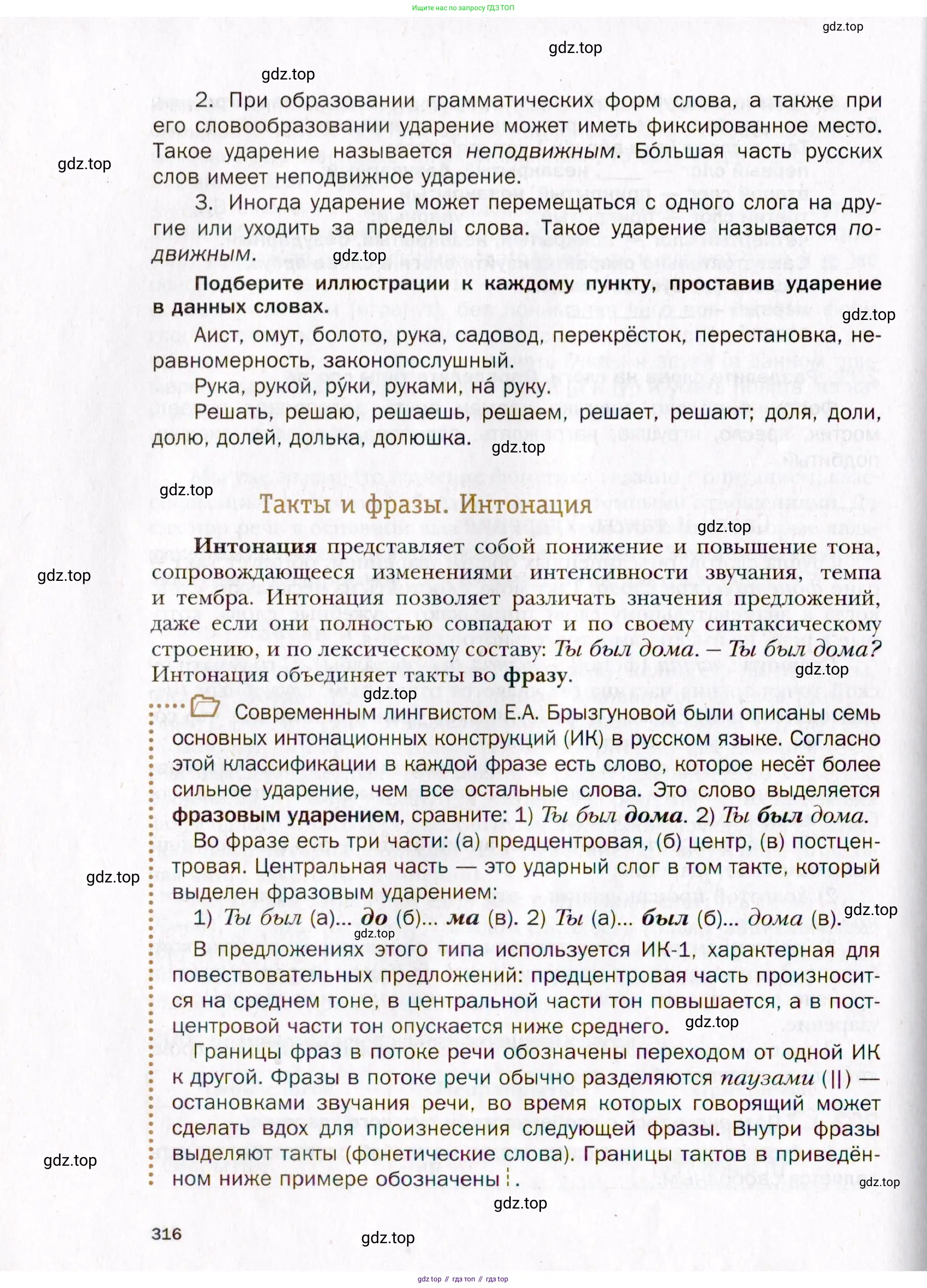 Русский язык, 10 класс Учебник, автор: Гусарова Ирина Васильевна, издательство Просвещение, Москва, 2021, коричневого цвета, страница 316