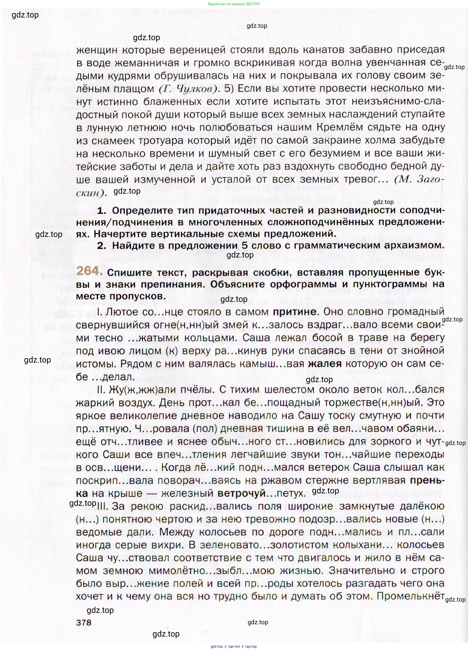 Русский язык, 10 класс Учебник, автор: Гусарова Ирина Васильевна, издательство Просвещение, Москва, 2021, коричневого цвета, Часть 5, страница 378