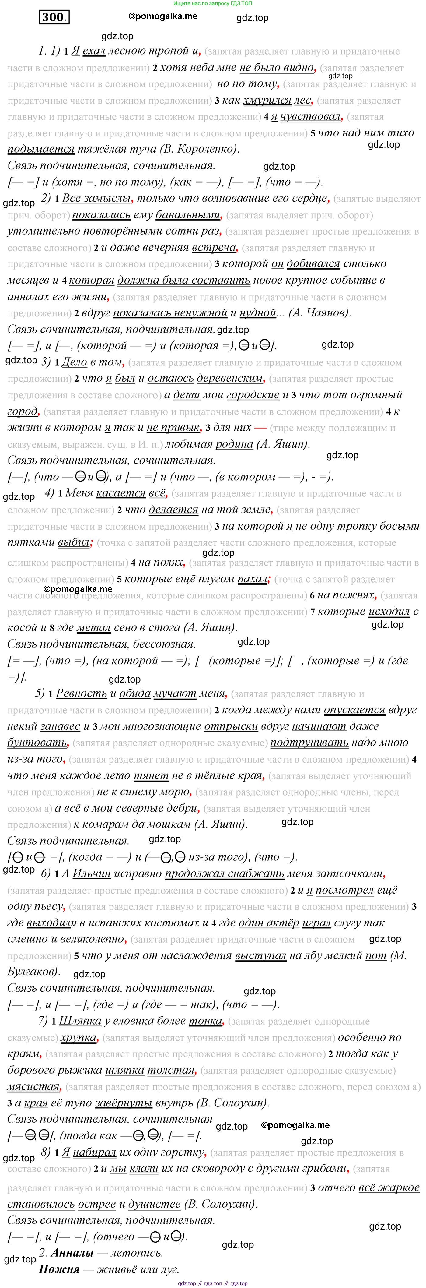 Русский язык, 10 класс Учебник, автор: Гусарова Ирина Васильевна, издательство Просвещение, Москва, 2021, коричневого цвета, Часть 6, страница 430, номер 300, Решение 2