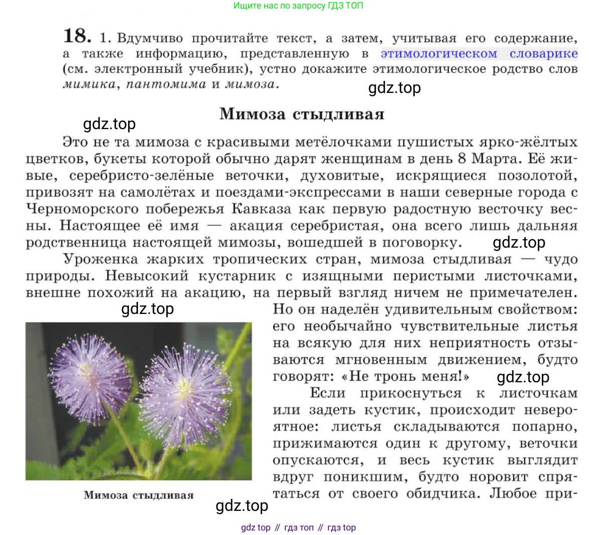 Русский язык, 10 класс Учебник, авторы: Львова Светлана Ивановна, Львов Валентин Витальевич, издательство Мнемозина, Москва, 2019, страница 24, номер 18, Условие