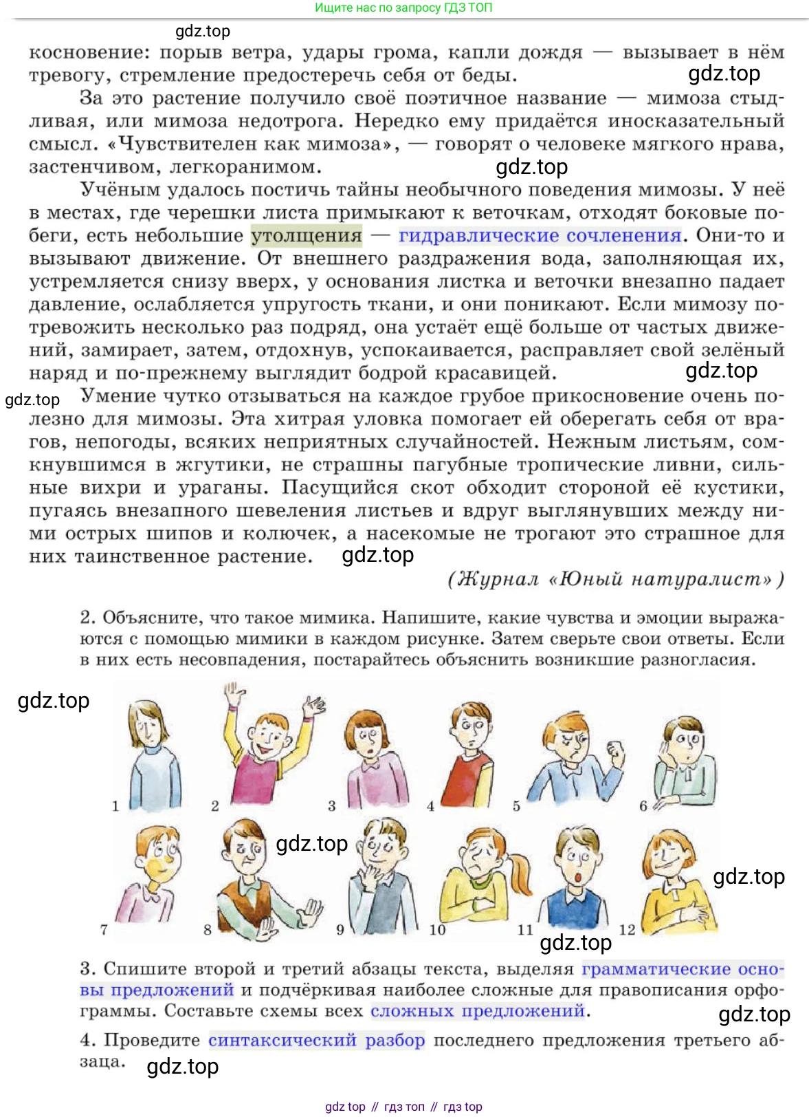 Русский язык, 10 класс Учебник, авторы: Львова Светлана Ивановна, Львов Валентин Витальевич, издательство Мнемозина, Москва, 2019, страница 24, номер 18, Условие (продолжение 2)