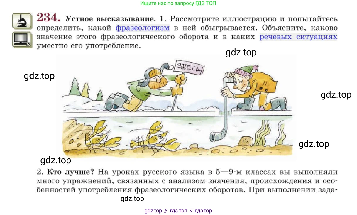 Русский язык, 10 класс Учебник, авторы: Львова Светлана Ивановна, Львов Валентин Витальевич, издательство Мнемозина, Москва, 2019, страница 274, номер 234, Условие