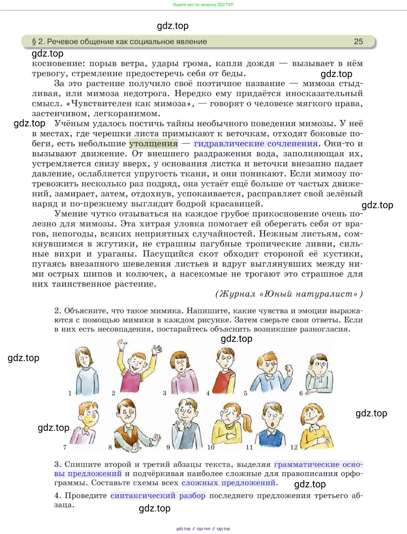 Русский язык, 10 класс Учебник, авторы: Львова Светлана Ивановна, Львов Валентин Витальевич, издательство Мнемозина, Москва, 2019, страница 25