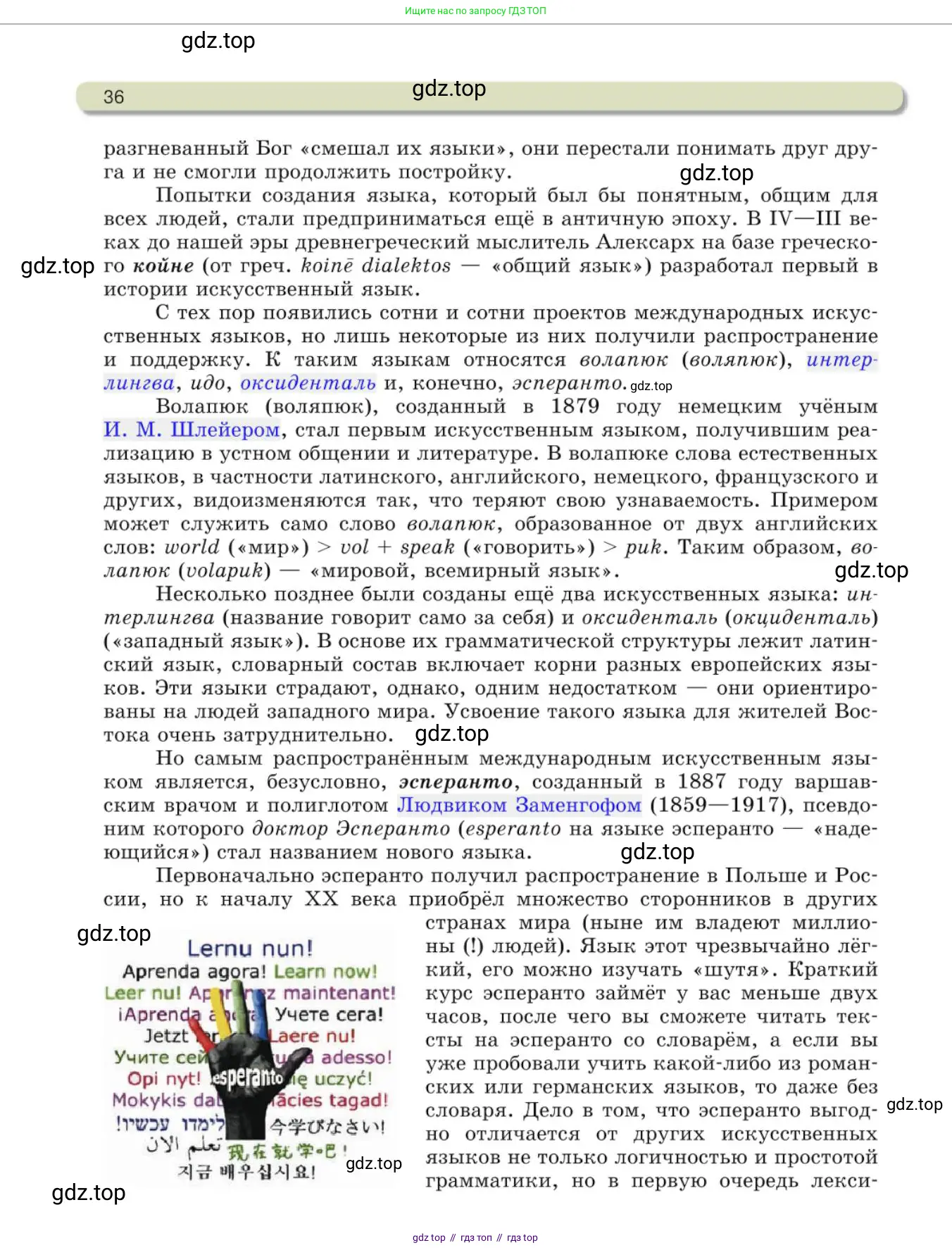 Русский язык, 10 класс Учебник, авторы: Львова Светлана Ивановна, Львов Валентин Витальевич, издательство Мнемозина, Москва, 2019, страница 36