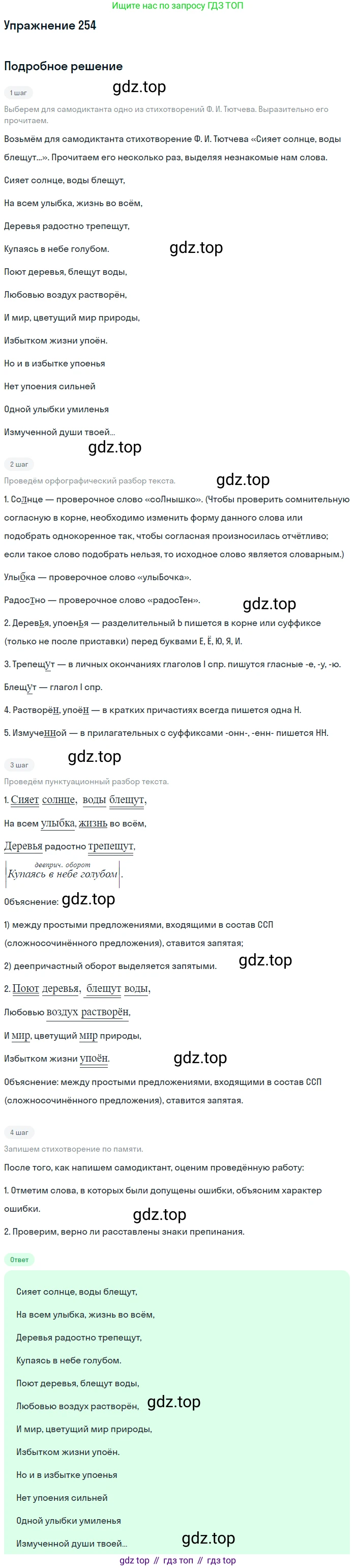 Русский язык, 10 класс Учебник, авторы: Львова Светлана Ивановна, Львов Валентин Витальевич, издательство Мнемозина, Москва, 2019, страница 293, номер 254, Решение