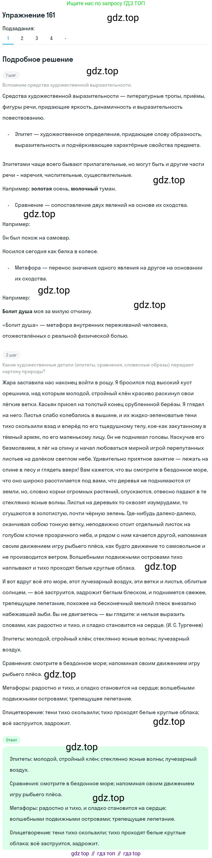 ГДЗ Русский язык, 10-11 класс Учебник, авторы: Рыбченкова Лидия Макаровна, Александрова Ольга Макаровна, Нарушевич Андрей Георгиевич, Голубева Ирина Валериевна, Гостева Юлия Николаевна, Григорьев Андрей Владимирович, Добротина Ирина Нургаиновна, Кузина Анна Николаевна, Власенков Александр Иванович, издательство Просвещение, Москва, 2019, страница 81, номер 161, Решение 2019-2022