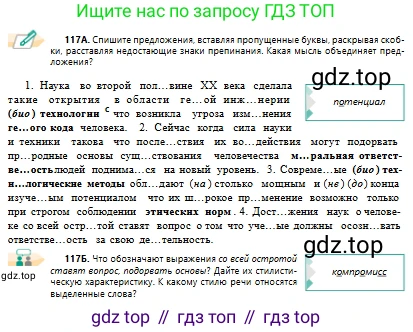 Русский язык, 10 класс Учебник, авторы: Сабитова Зинаида Какбаевна, Алтынбекова Ольга Баймухановна, издательство Мектеп, Алматы, 2019, оранжевого цвета, страница 81, номер 117, Условие