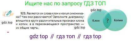 Русский язык, 10 класс Учебник, авторы: Сабитова Зинаида Какбаевна, Алтынбекова Ольга Баймухановна, издательство Мектеп, Алматы, 2019, оранжевого цвета, страница 86, номер 123, Условие