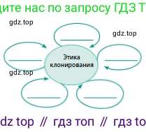 Русский язык, 10 класс Учебник, авторы: Сабитова Зинаида Какбаевна, Алтынбекова Ольга Баймухановна, издательство Мектеп, Алматы, 2019, оранжевого цвета, страница 97, номер 141, Условие (продолжение 2)