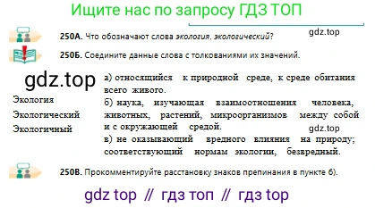 Русский язык, 10 класс Учебник, авторы: Сабитова Зинаида Какбаевна, Алтынбекова Ольга Баймухановна, издательство Мектеп, Алматы, 2019, оранжевого цвета, страница 156, номер 250, Условие