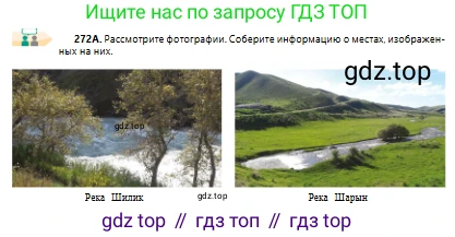 Русский язык, 10 класс Учебник, авторы: Сабитова Зинаида Какбаевна, Алтынбекова Ольга Баймухановна, издательство Мектеп, Алматы, 2019, оранжевого цвета, страница 170, номер 272, Условие
