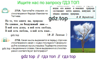 Русский язык, 10 класс Учебник, авторы: Сабитова Зинаида Какбаевна, Алтынбекова Ольга Баймухановна, издательство Мектеп, Алматы, 2019, оранжевого цвета, страница 174, номер 275, Условие