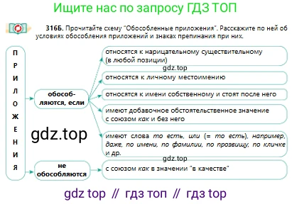Русский язык, 10 класс Учебник, авторы: Сабитова Зинаида Какбаевна, Алтынбекова Ольга Баймухановна, издательство Мектеп, Алматы, 2019, оранжевого цвета, страница 196, номер 316, Условие (продолжение 2)