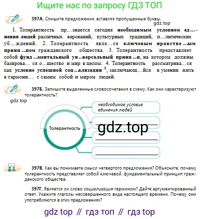 Русский язык, 10 класс Учебник, авторы: Сабитова Зинаида Какбаевна, Алтынбекова Ольга Баймухановна, издательство Мектеп, Алматы, 2019, оранжевого цвета, страница 246, номер 397, Условие