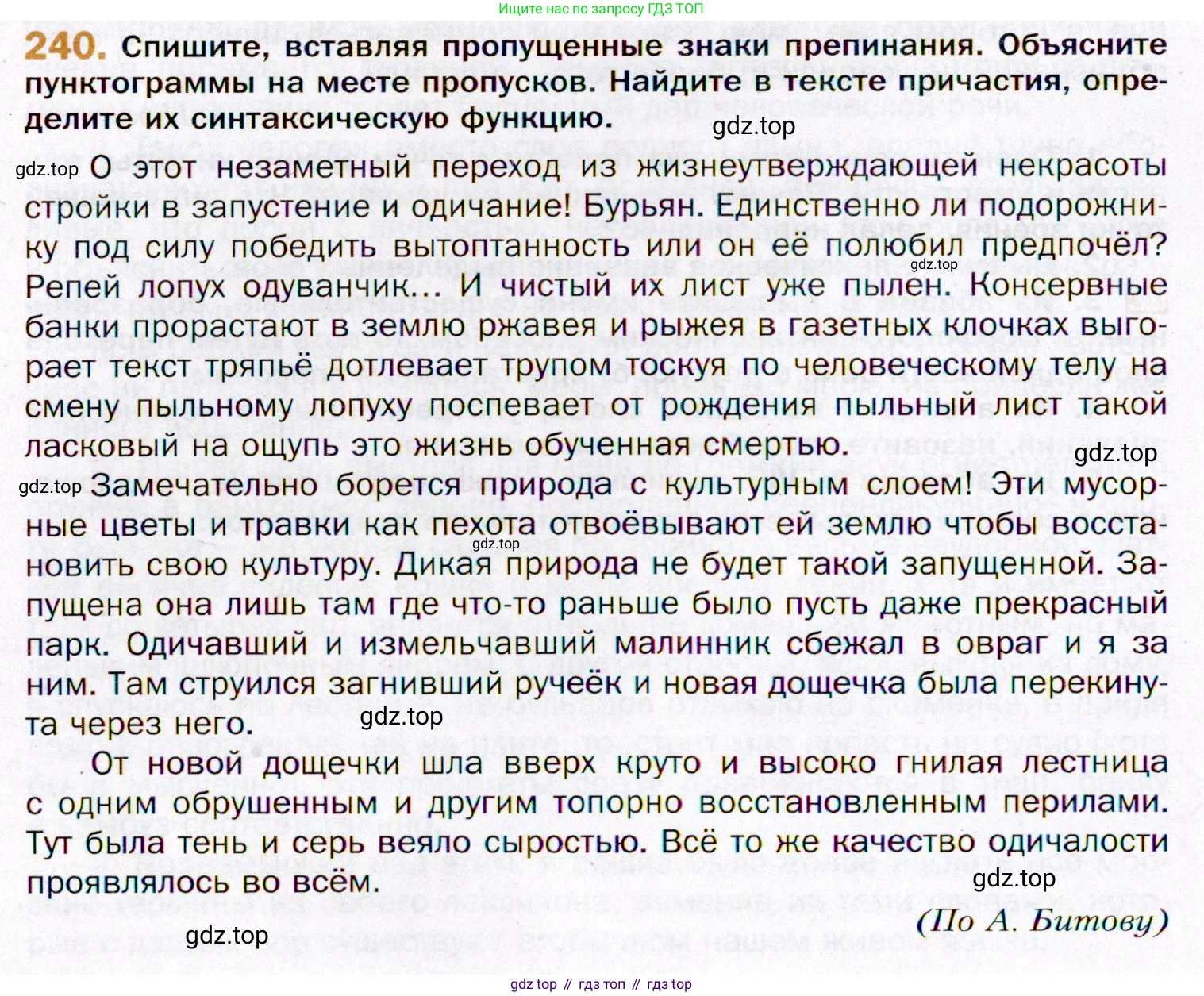 ГДЗ Русский язык, 11 класс Учебник, автор: Гусарова Ирина Васильевна, издательство Просвещение, Москва, 2021, жёлтого цвета, страница 360, номер 240, Условие