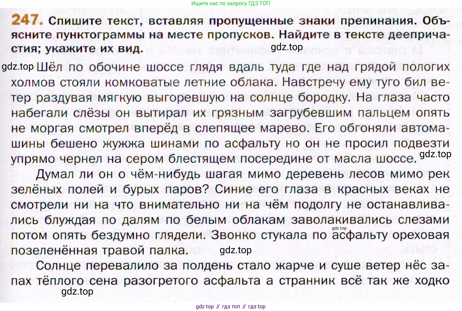 ГДЗ Русский язык, 11 класс Учебник, автор: Гусарова Ирина Васильевна, издательство Просвещение, Москва, 2021, жёлтого цвета, страница 371, номер 247, Условие