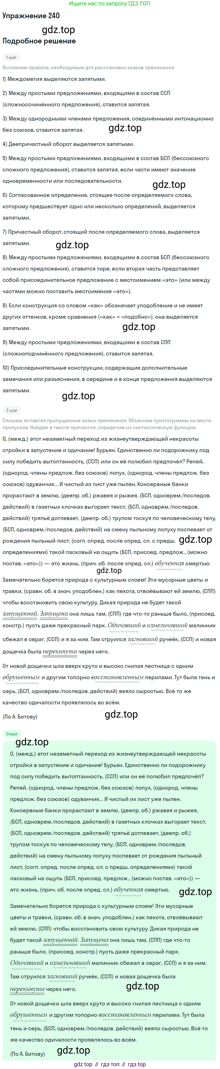 ГДЗ Русский язык, 11 класс Учебник, автор: Гусарова Ирина Васильевна, издательство Просвещение, Москва, 2021, жёлтого цвета, страница 360, номер 240, Решение