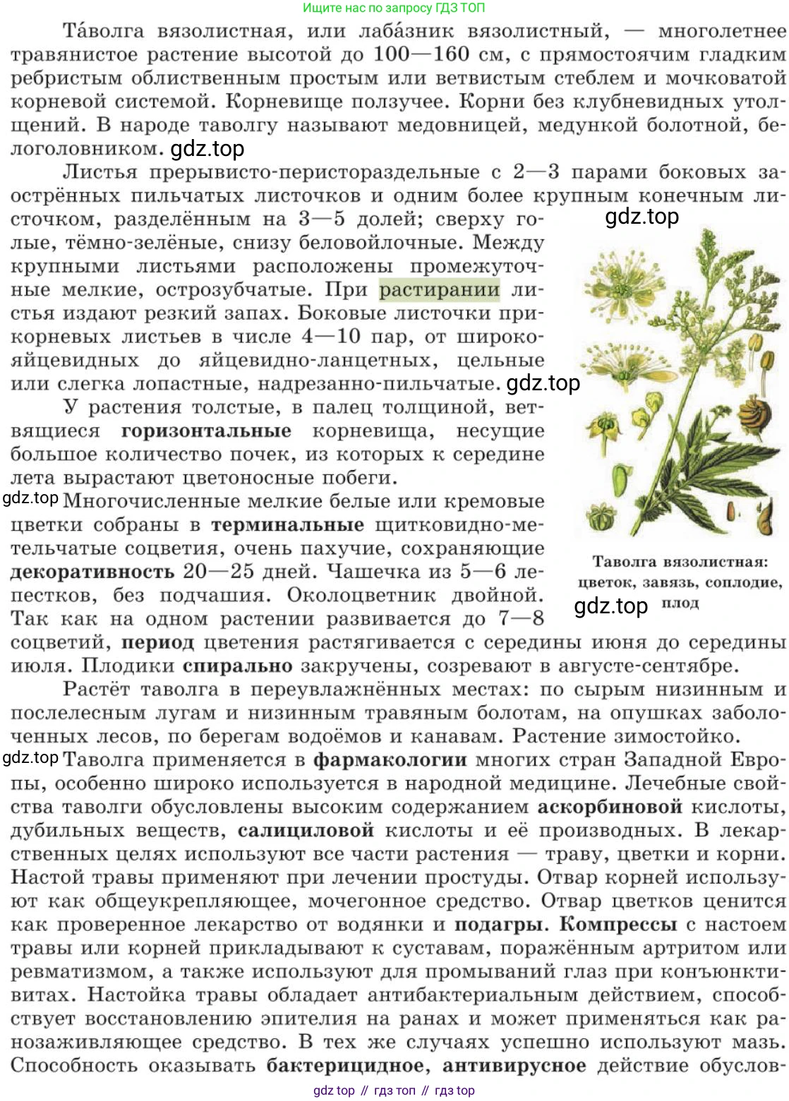 Русский язык, 11 класс Учебник, авторы: Львова Светлана Ивановна, Львов Валентин Витальевич, издательство Мнемозина, Москва, 2019, серого цвета, страница 62, номер 34, Условие (продолжение 2)