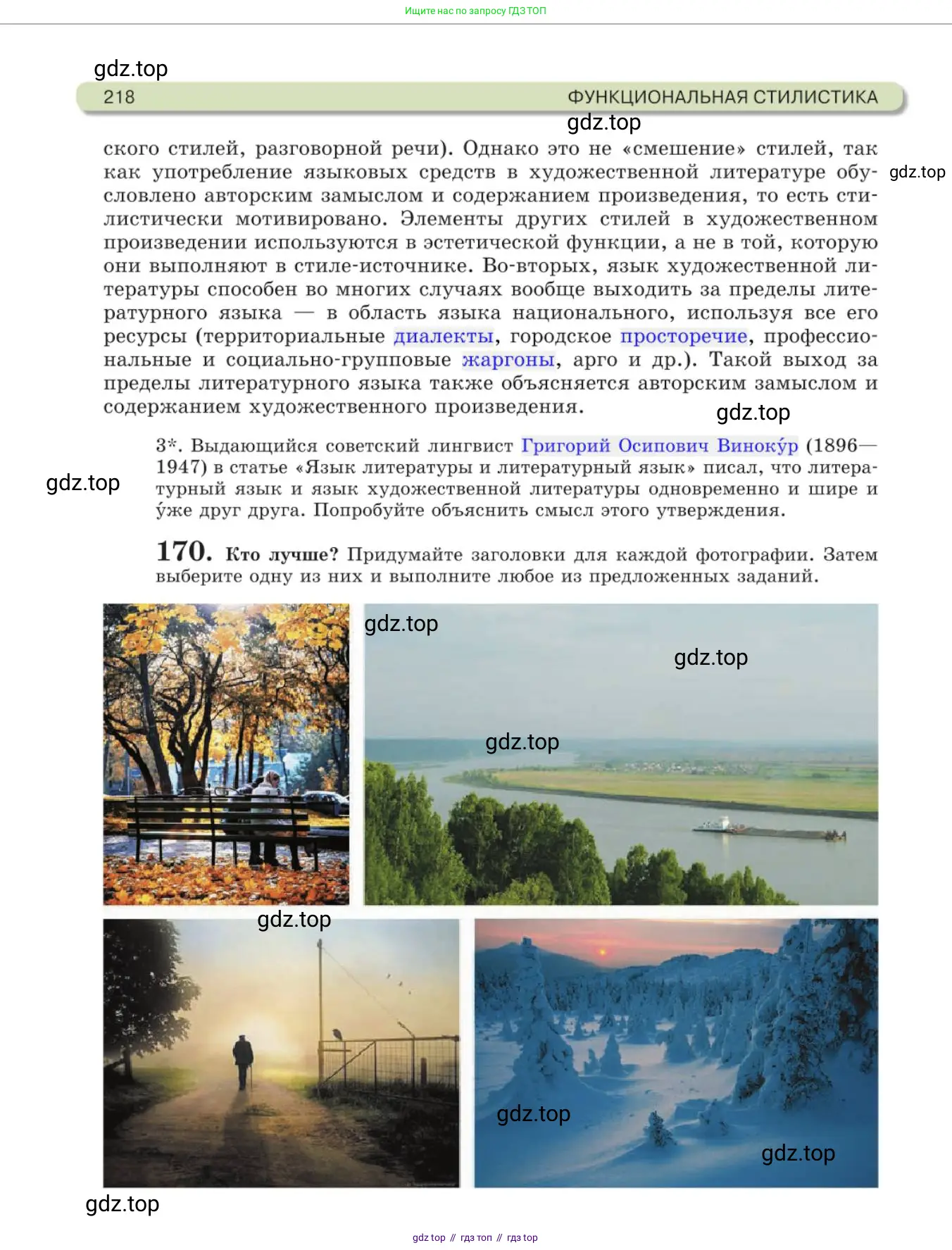 Русский язык, 11 класс Учебник, авторы: Львова Светлана Ивановна, Львов Валентин Витальевич, издательство Мнемозина, Москва, 2019, серого цвета, страница 218