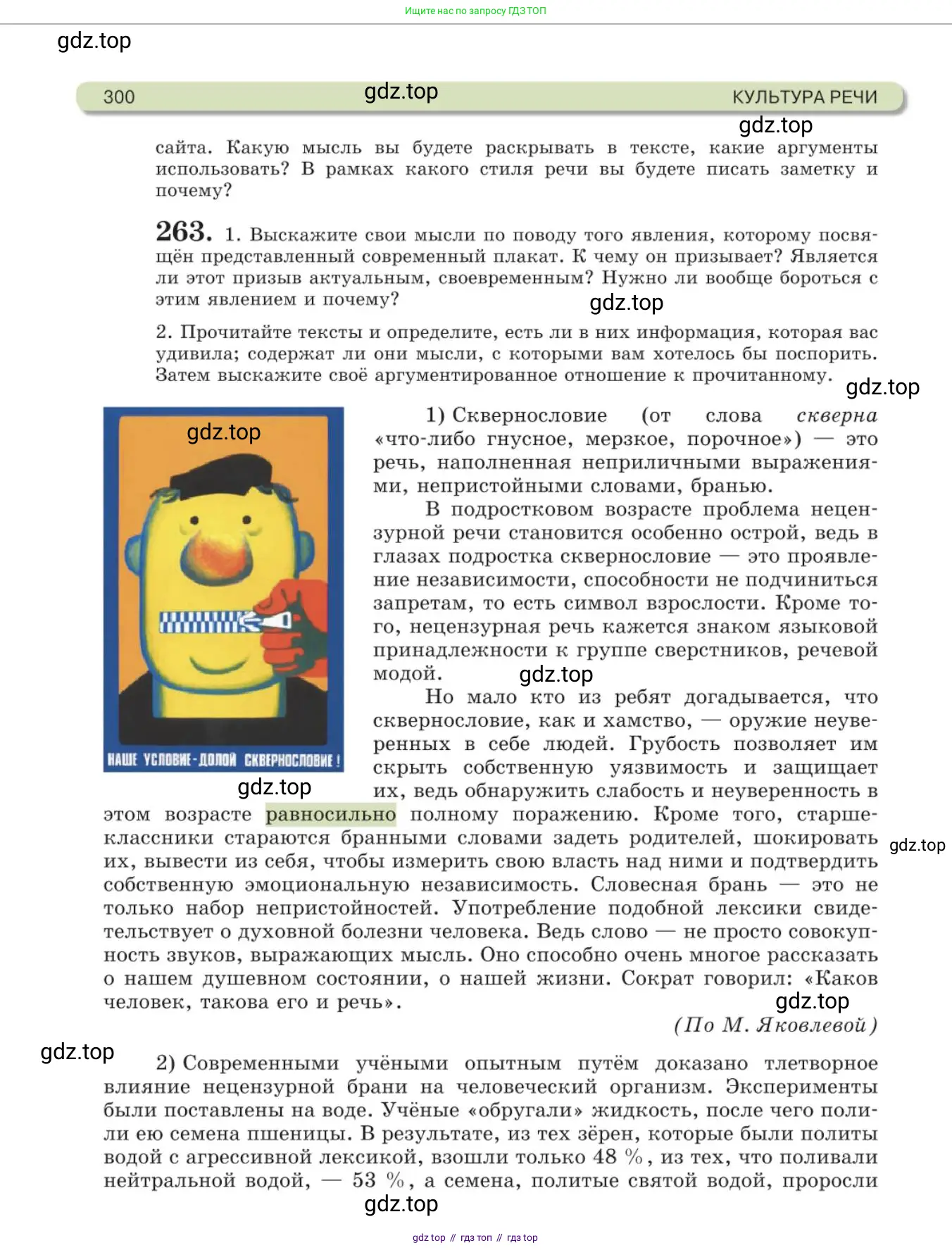 Русский язык, 11 класс Учебник, авторы: Львова Светлана Ивановна, Львов Валентин Витальевич, издательство Мнемозина, Москва, 2019, серого цвета, страница 300