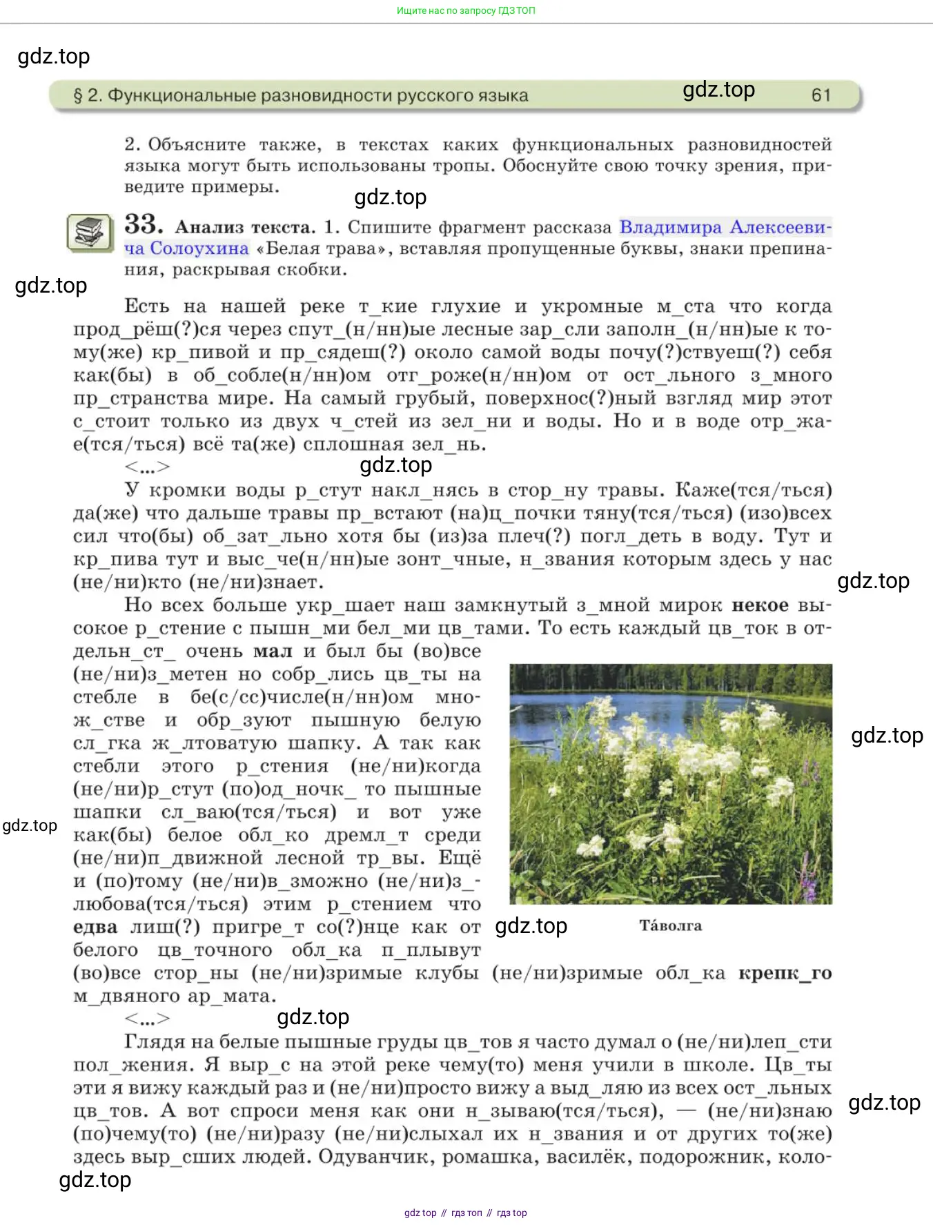 Русский язык, 11 класс Учебник, авторы: Львова Светлана Ивановна, Львов Валентин Витальевич, издательство Мнемозина, Москва, 2019, серого цвета, страница 61