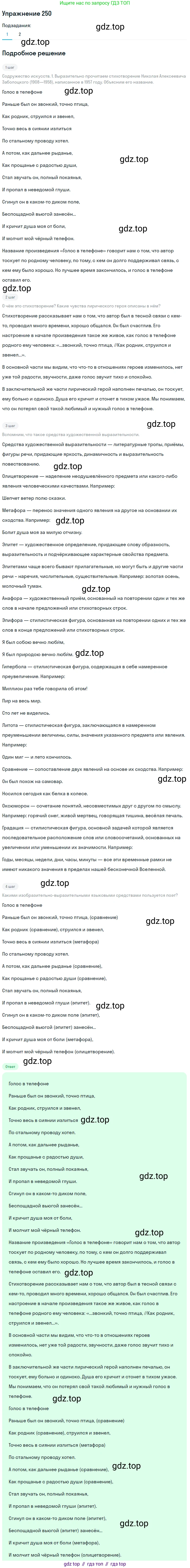 Русский язык, 11 класс Учебник, авторы: Львова Светлана Ивановна, Львов Валентин Витальевич, издательство Мнемозина, Москва, 2019, серого цвета, страница 290, номер 250, Решение