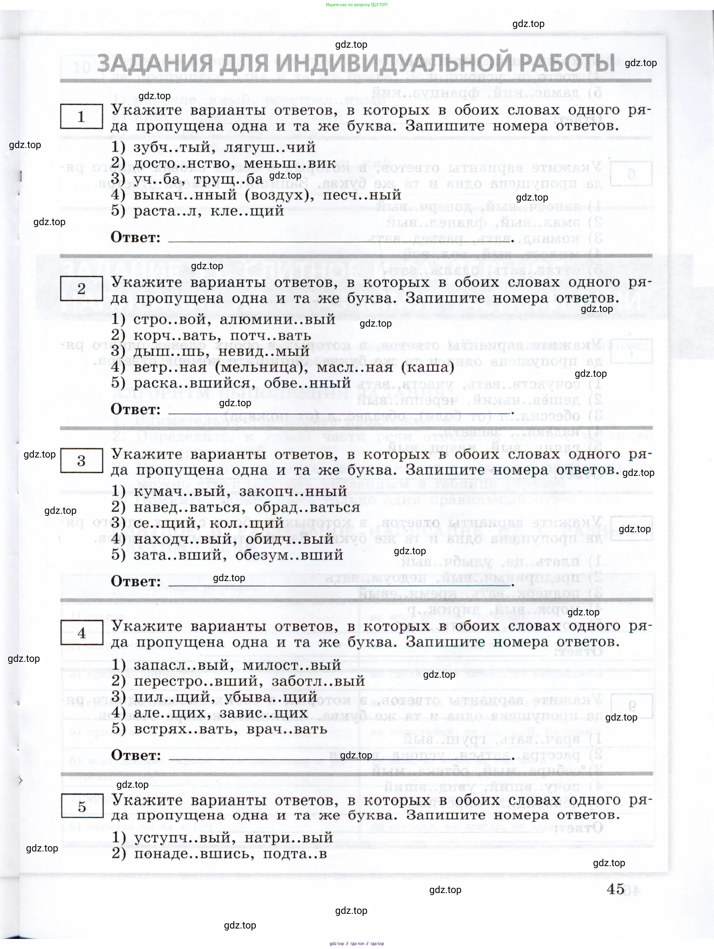 ГДЗ Русский язык, 11 класс Тетрадь-тренажёр, авторы: Маслов Вячеслав Васильевич, Бондарцова Юлия Львовна, издательство Просвещение, Москва, 2019, красного цвета, страница 45