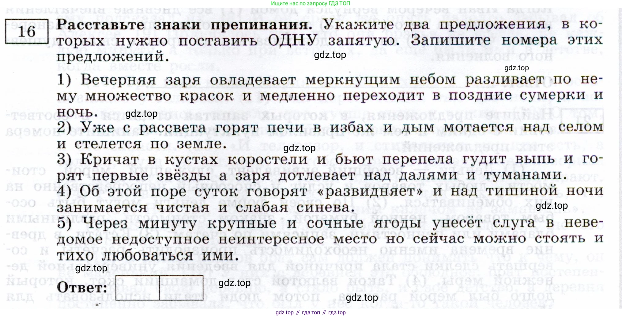 ГДЗ Русский язык, 11 класс Тетрадь-тренажёр, авторы: Маслов Вячеслав Васильевич, Бондарцова Юлия Львовна, издательство Просвещение, Москва, 2019, красного цвета, страница 13, номер 16, Условие