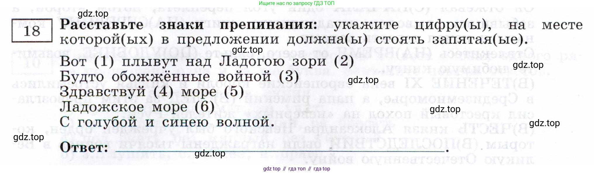 Русский язык, 11 класс Тетрадь-тренажёр, авторы: Маслов Вячеслав Васильевич, Бондарцова Юлия Львовна, издательство Просвещение, Москва, 2019, красного цвета, страница 14, номер 18, Условие