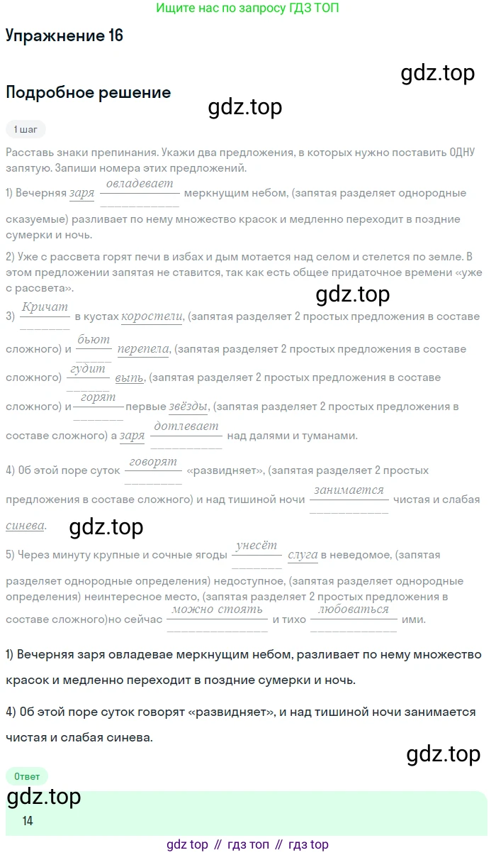 ГДЗ Русский язык, 11 класс Тетрадь-тренажёр, авторы: Маслов Вячеслав Васильевич, Бондарцова Юлия Львовна, издательство Просвещение, Москва, 2019, красного цвета, страница 13, номер 16, Решение