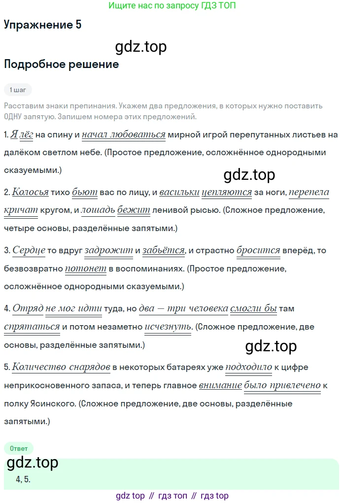 Русский язык, 11 класс Тетрадь-тренажёр, авторы: Маслов Вячеслав Васильевич, Бондарцова Юлия Львовна, издательство Просвещение, Москва, 2019, красного цвета, страница 62, номер 5, Решение