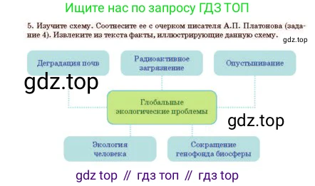 Русский язык, 11 класс Учебник, авторы: Султанова Айман Беккужевна, Бондаренко Марина Ивановна, Михайленко Владимир Георгиевич, издательство Алматыкітап баспасы, Алматы, 2023, страница 13, номер 5, Условие