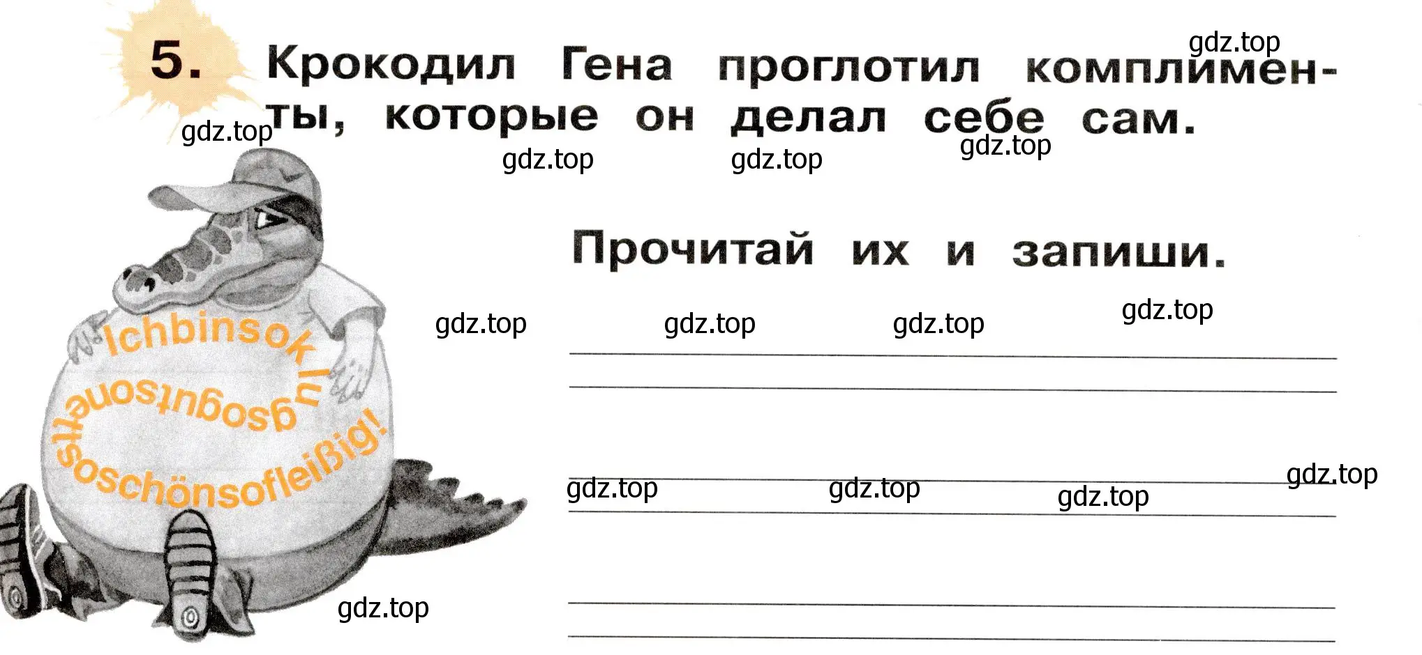 Условие номер 5 (страница 80) гдз по немецкому языку 2 класс Бим, Рыжова, рабочая тетрадь A часть